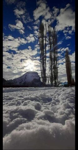 ул Солнечная 16 Тюменская обл. фото