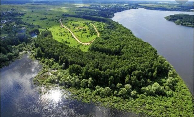 некоммерческое товарищество Лукоморье, дачное фото