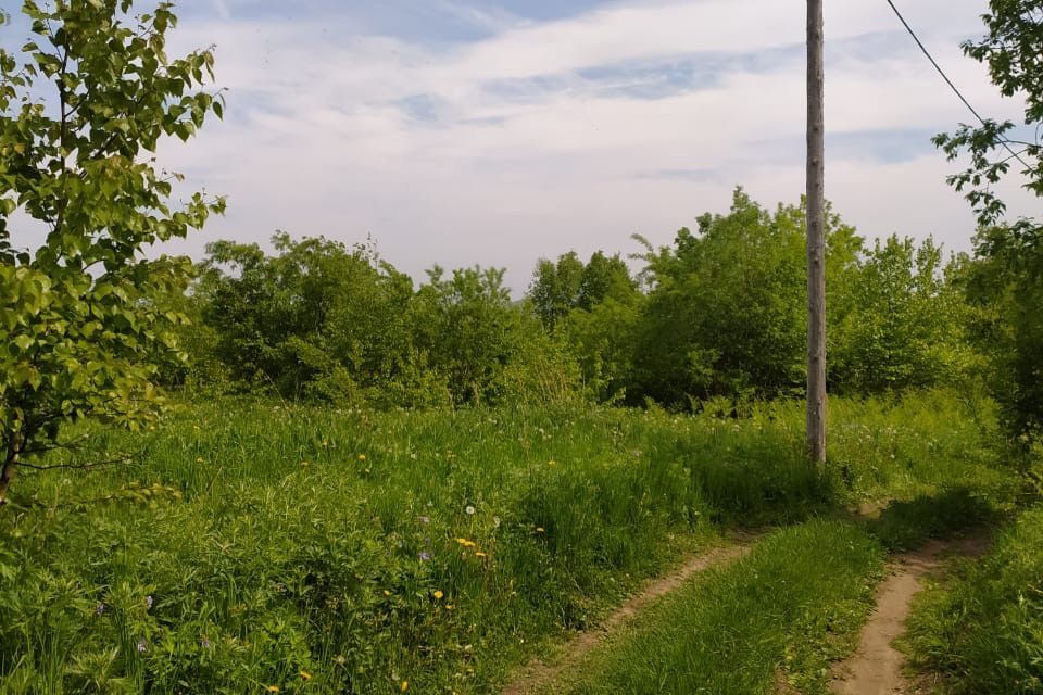 земля р-н Елизовский г Елизово ул Крестьянская Елизовское городское поселение фото 1