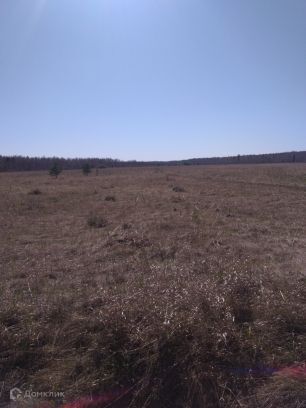 земля г Курган ул Гоголя городской округ Курган фото 3