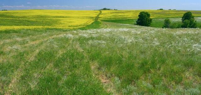 земля с Далекое ул Строителей 1 фото