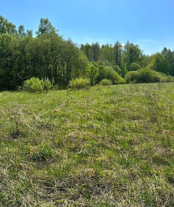 земля городской округ Серпухов д Дашковка фото 26