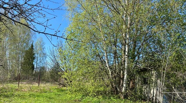 снт тер.Энтузиаст Волоколамский городской округ фото