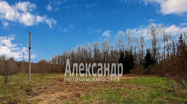 земля ул Правобережная Приморское городское поселение, Беговая фото