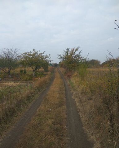 земля Воронеж фото