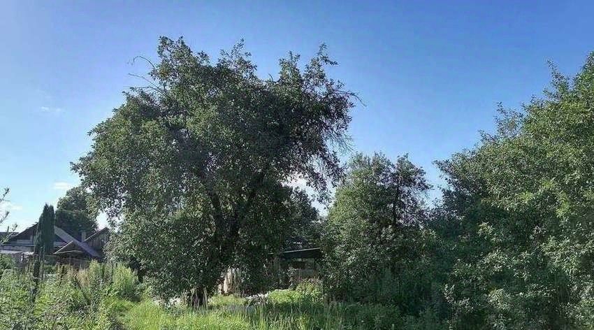 дом г Рязань р-н Октябрьский ул Пронская фото 8