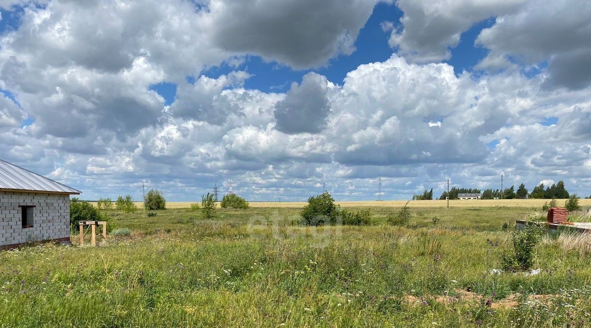 земля р-н Елабужский г Елабуга ул Байлык городское поселение Елабуга фото 4