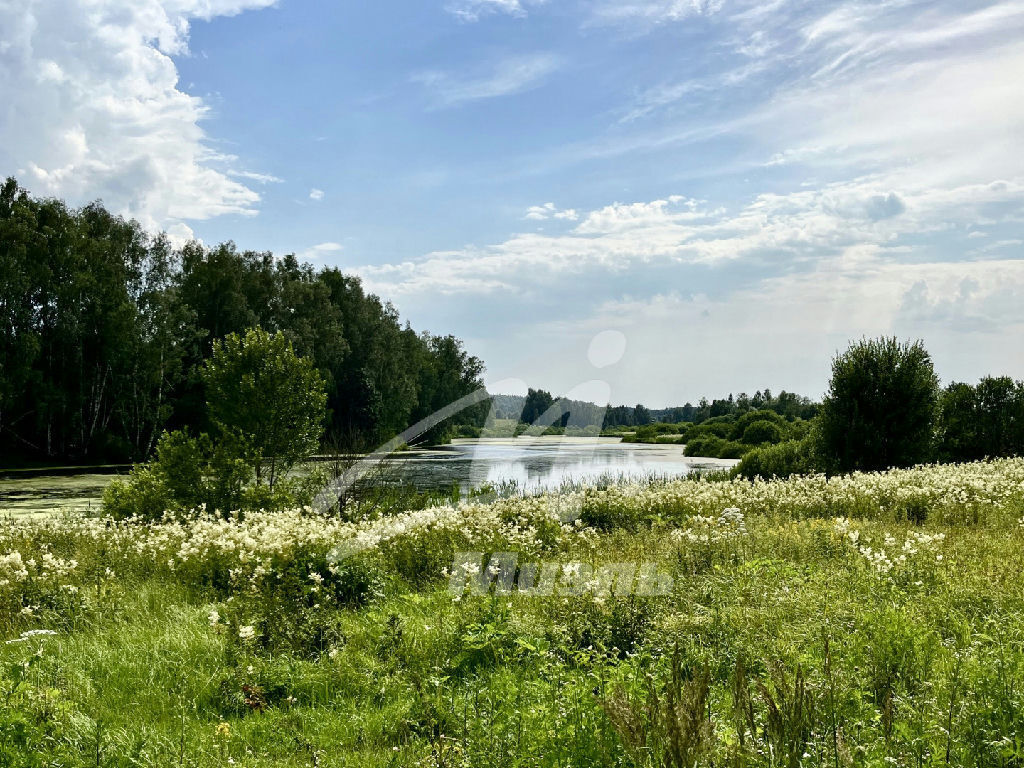 дом городской округ Дмитровский рп Некрасовский пгт Народный пер., 3 фото 42