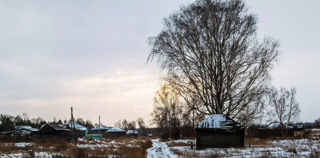 земля р-н Талицкий с Пеньки ул Ленина 13 фото 9