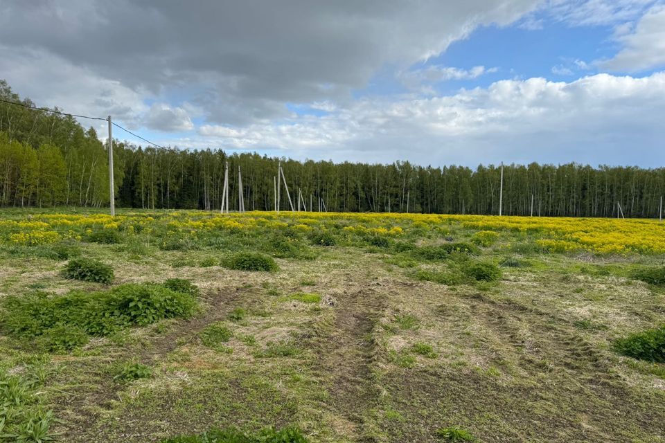 земля городской округ Пушкинский деревня Степаньково фото 3