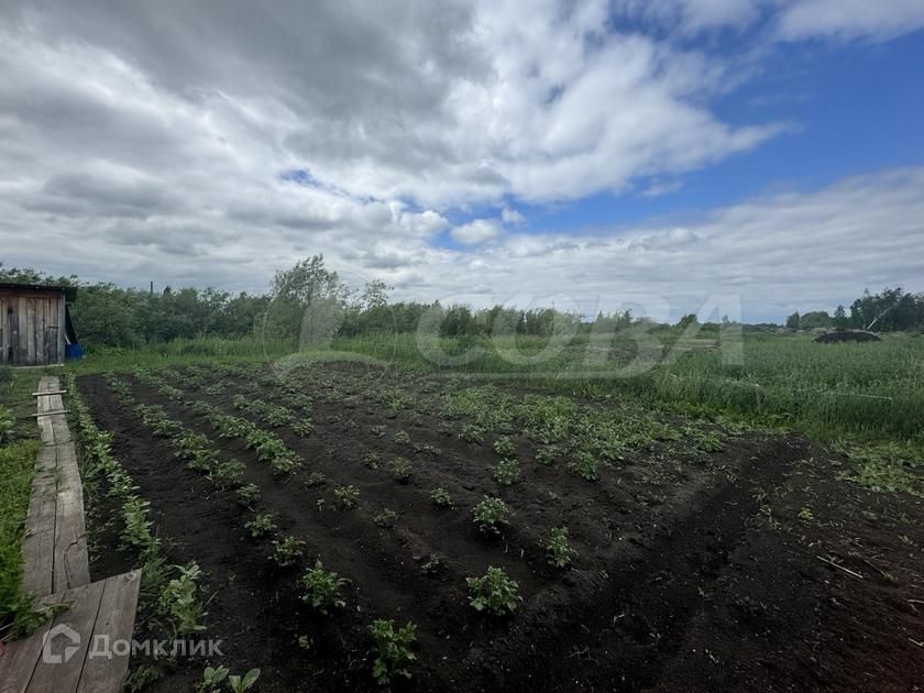 дом г Тюмень городской округ Тюмень, садовое товарищество Липовый Остров фото 3