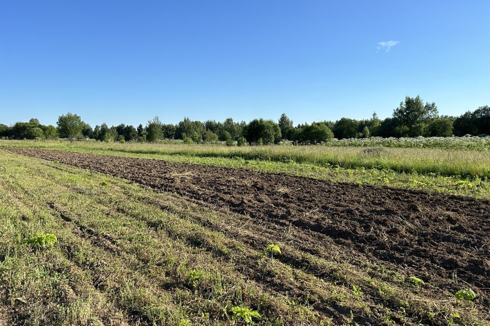 земля р-н Александровский село Андреевское фото 7