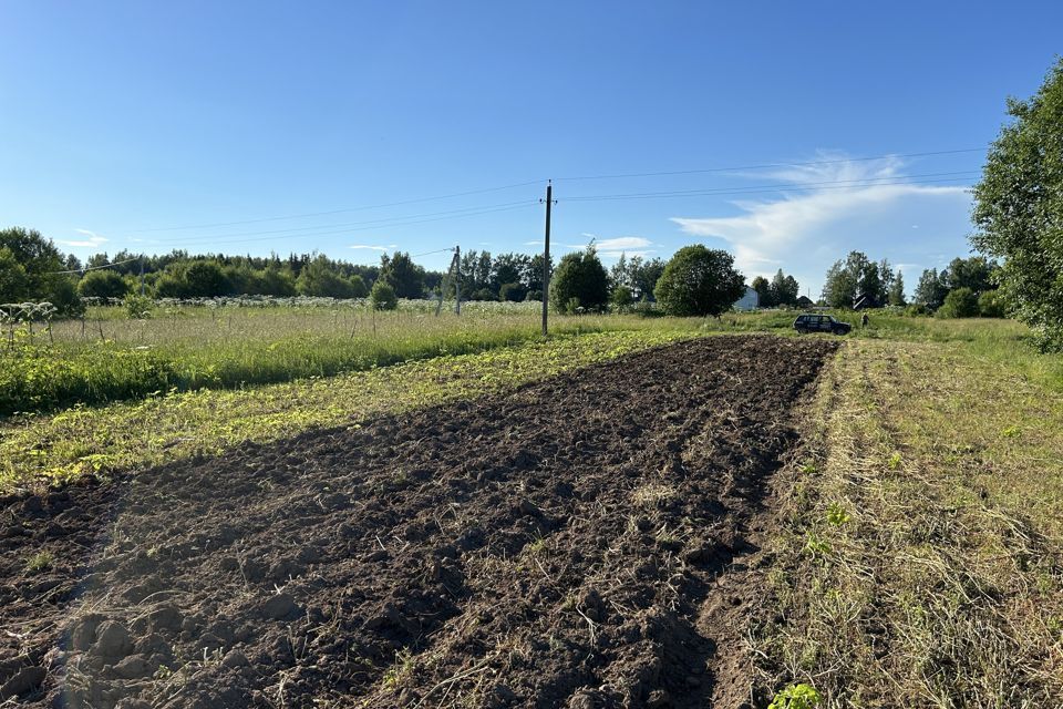 земля р-н Александровский село Андреевское фото 10