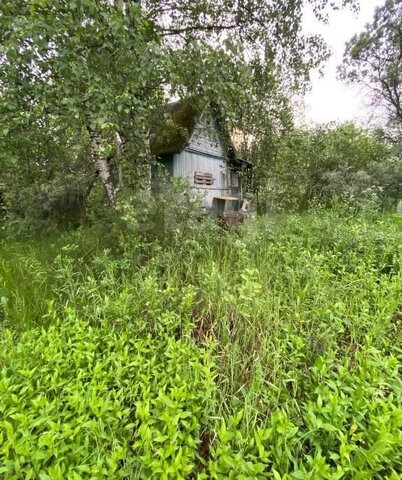 снт Радужное Сохатый, 13, Вологда фото