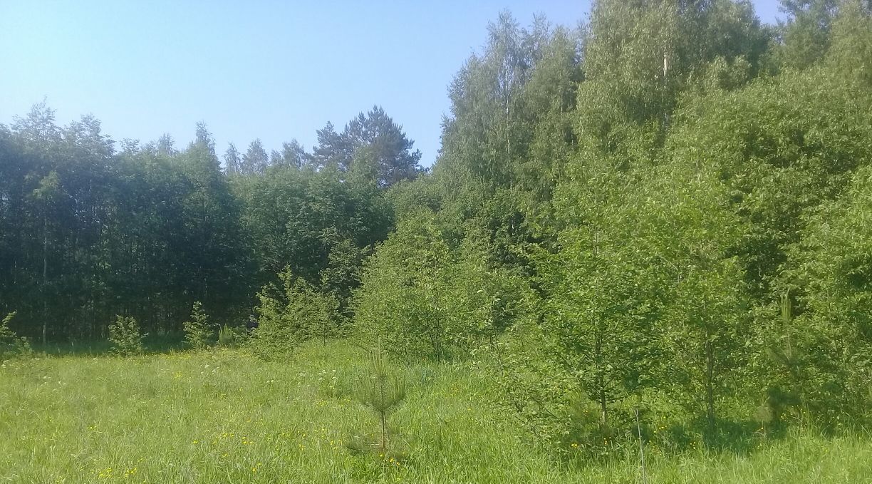 земля р-н Переславский д Лисавы Переславль-Залесский городской округ фото 4