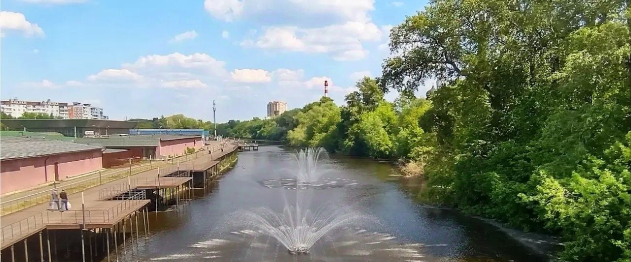 земля городской округ Богородский г Ногинск фото 2