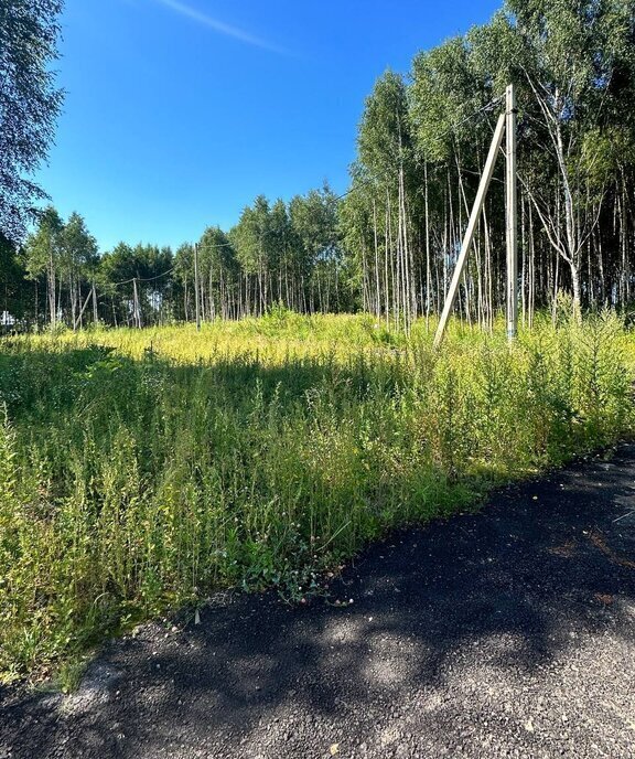 земля городской округ Дмитровский д Капорки Лобня фото 2