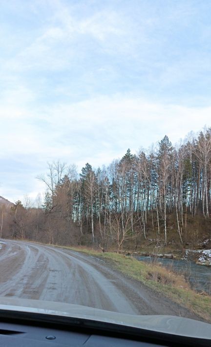 земля р-н Алтайский с Нижнекаянча ул Заводская 10 фото 12