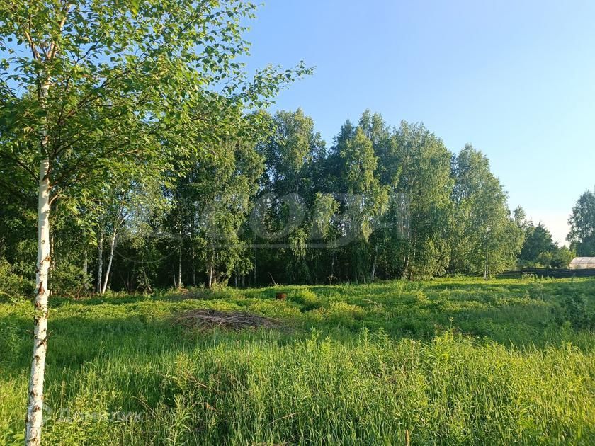 земля р-н Нижнетавдинский СТ Фортуна фото 2