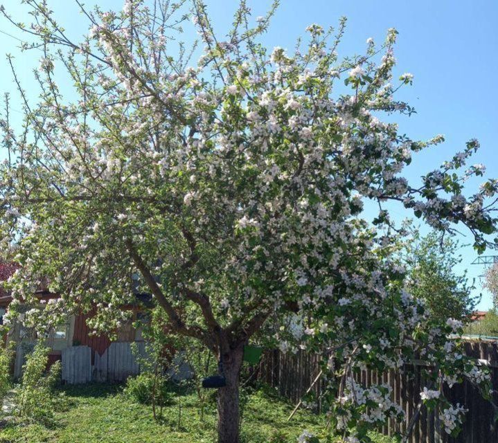 дом городской округ Калининград, СТ Сад-3, Центральная улица, 50 фото 2