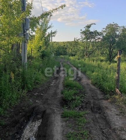 г Саранск р-н Ленинский городской округ Саранск, СНТ Зелёный Друг фото