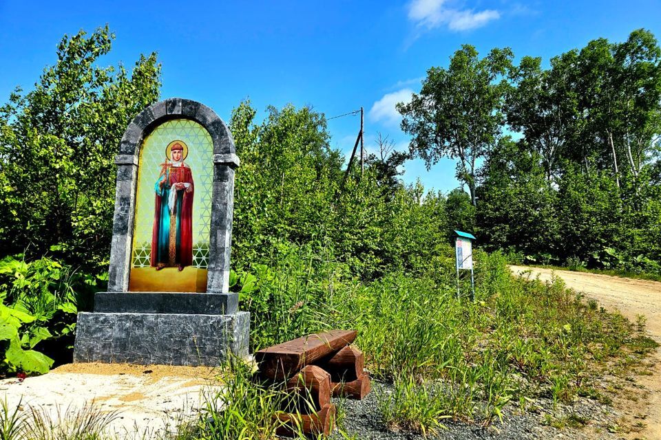 земля г Южно-Сахалинск городской округ Южно-Сахалинск, СНТ ДОСААФ фото 6