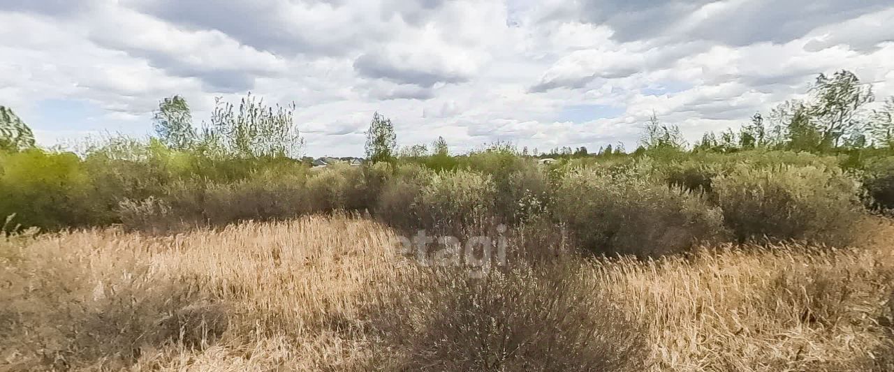 земля г Тюмень р-н Центральный снт Поле чудес ул Зеленая Центральный административный округ фото 11