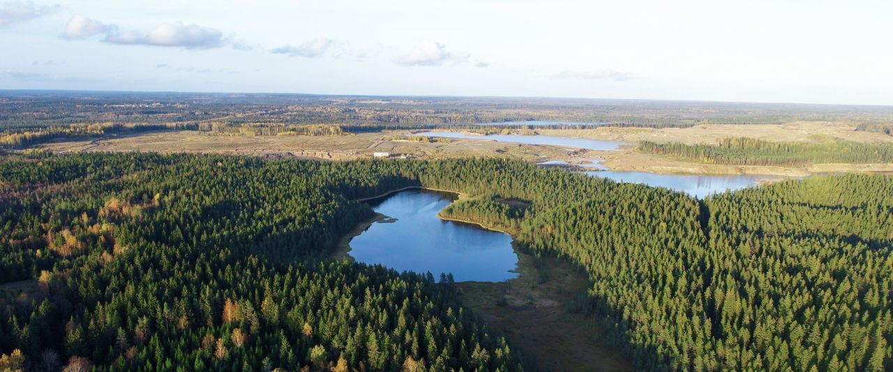 земля р-н Выборгский п Первомайское пос, Сабур-3 СНТ, 24 фото 3