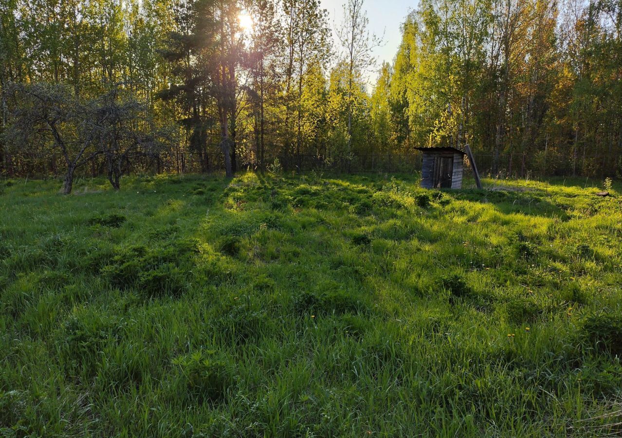 земля р-н Тосненский п Красный Бор городской пос. Красный Бор, Краснослободская ул., 24, Красноборское городское поселение фото 3