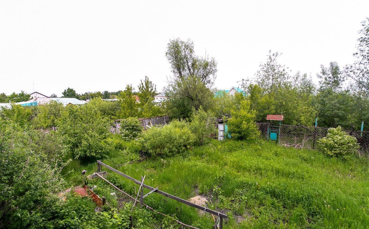 земля г Барнаул с Лебяжье р-н Центральный озеро Лебяжье фото 6