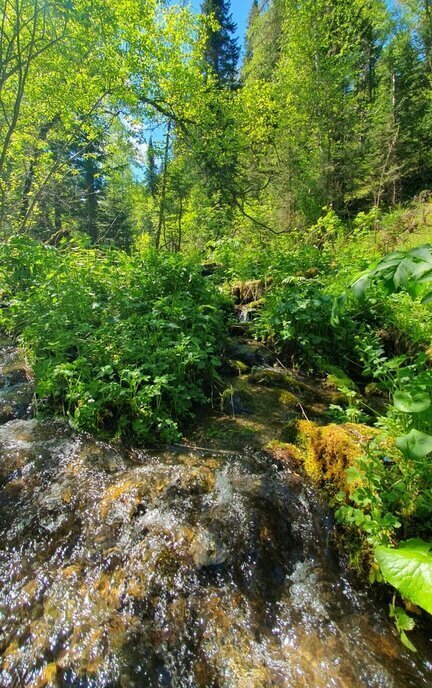 земля р-н Чемальский с Анос ул Заречная фото 20