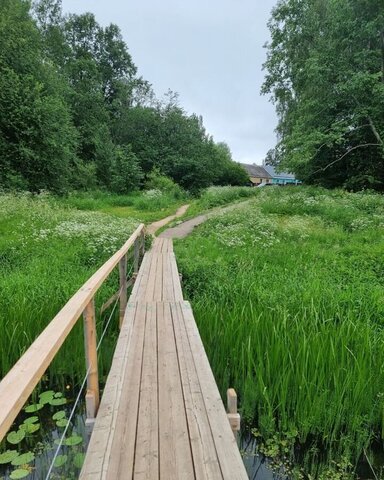 д Мальцево ул Парковая Мальцевское сельское поселение, Сычевка фото