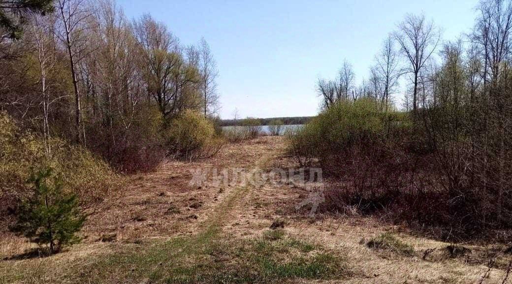 дом р-н Кривошеинский с Кривошеино ул Береговая фото 5