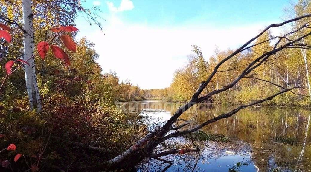 дом р-н Кривошеинский с Кривошеино ул Береговая фото 11