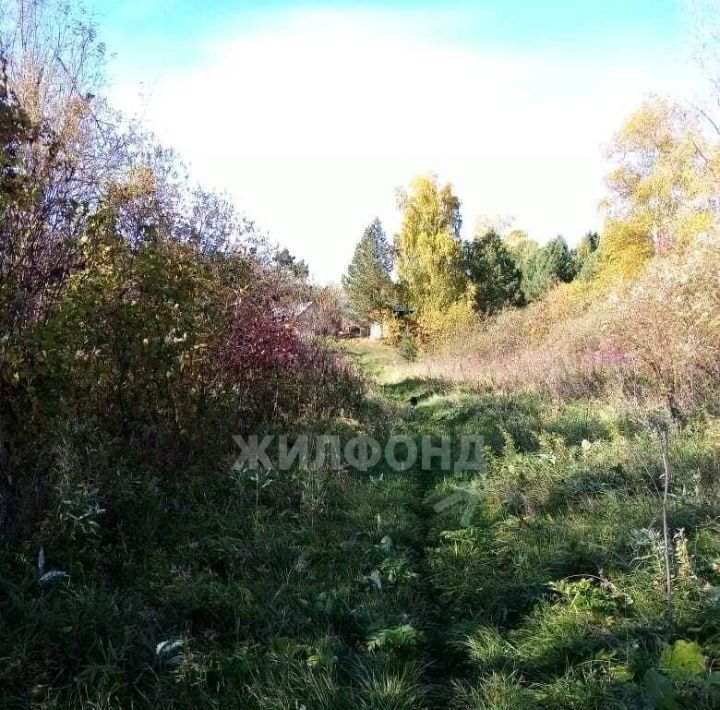 дом р-н Кривошеинский с Кривошеино ул Береговая фото 12