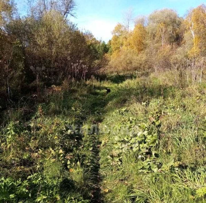 дом р-н Кривошеинский с Кривошеино ул Береговая фото 15