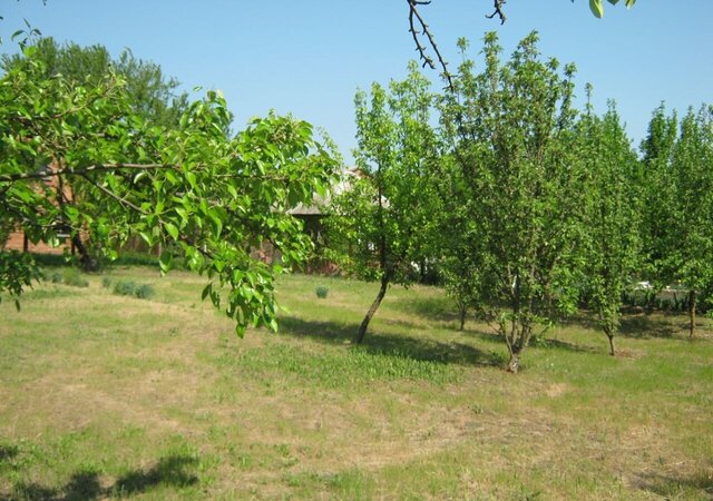 г Приморско-Ахтарск снт Радуга 11-я линия, 60 фото