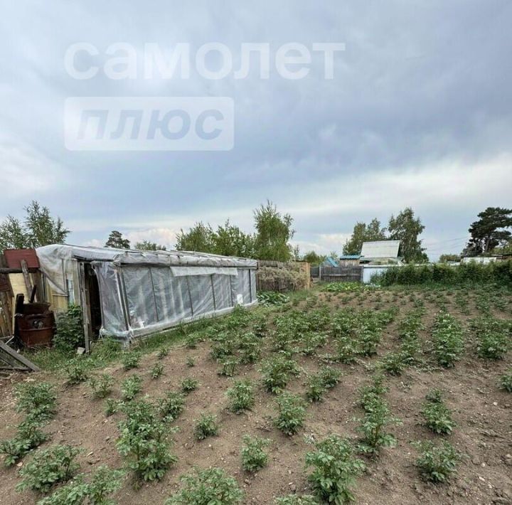 дом г Чита р-н Черновский 126, Березка садовое товарищество фото 7