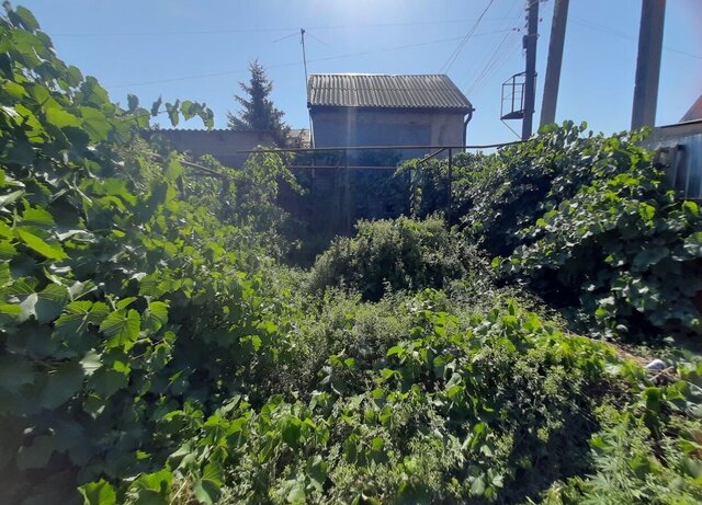 Ореховый пер фото