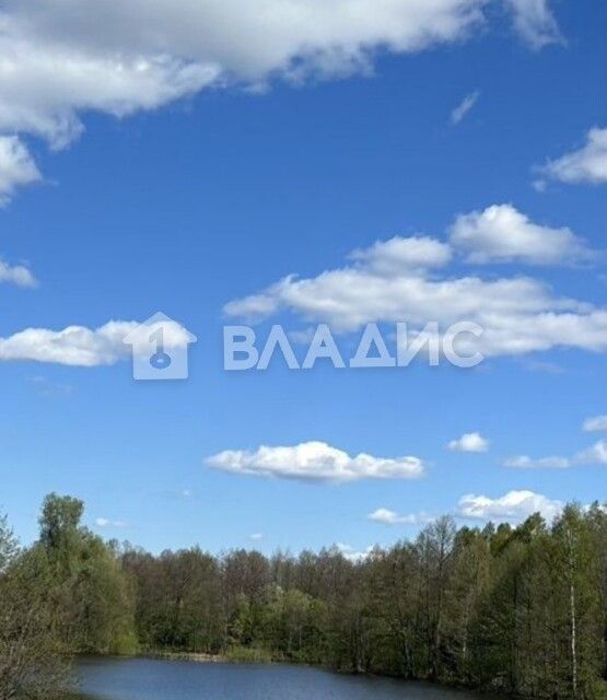 дом р-н Богородский д Ягодное снт Ягодное Богородский муниципальный округ, сектор Б фото 10