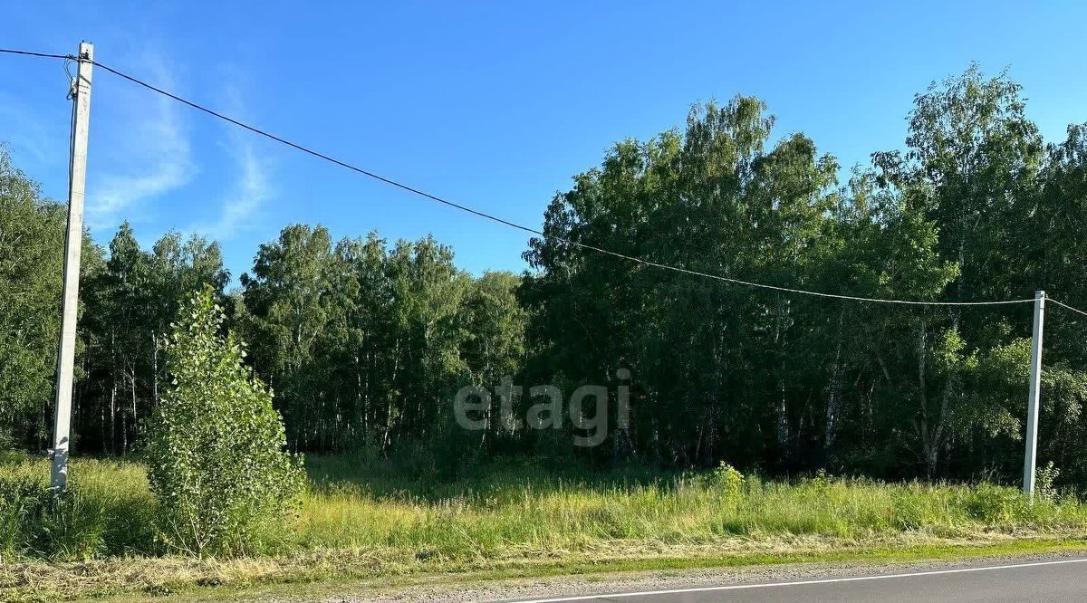 земля р-н Первомайский с Санниково ул Южная фото 1