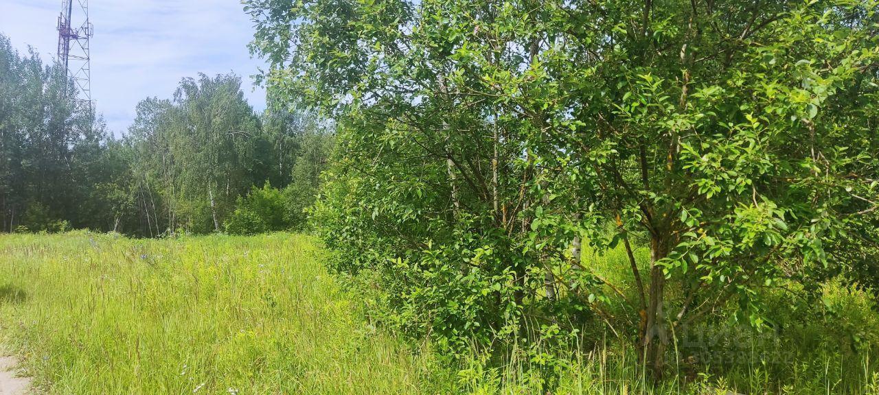 земля городской округ Мытищи д Протасово ул Суворова Марфино фото 3