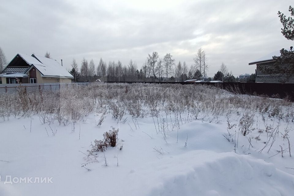 земля р-н Нижнетавдинский садоводческое некоммерческое товарищество Берёзка фото 5