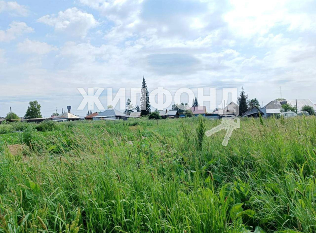 ул Ломоносова городское поселение Черепаново фото