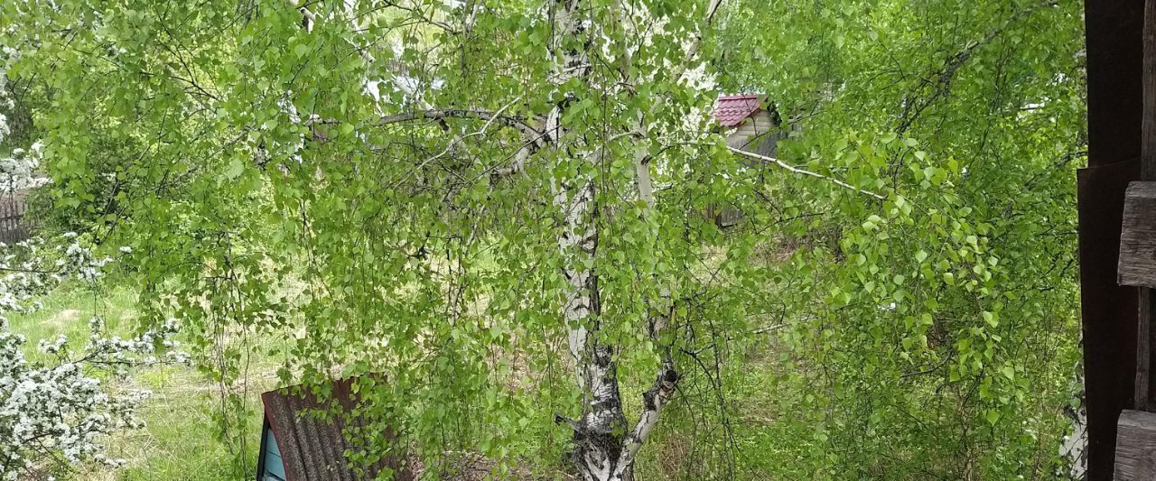 дом р-н Емельяновский с/с Солонцовский снт СНТ Родничок сельсовет фото 10