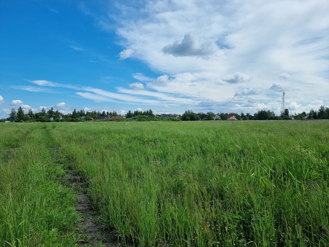 земля р-н Тосненский д Ям-Ижора фото 10