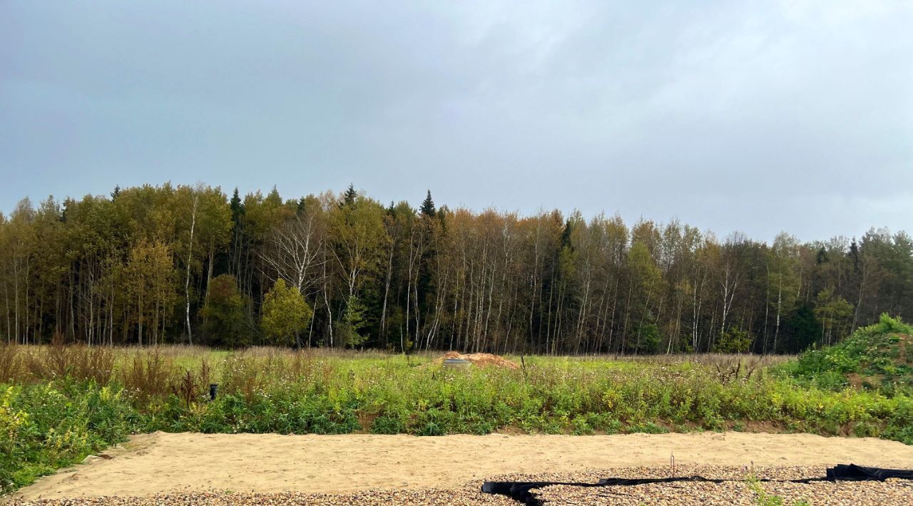 земля Дмитровский городской округ, Медведки кп фото 2