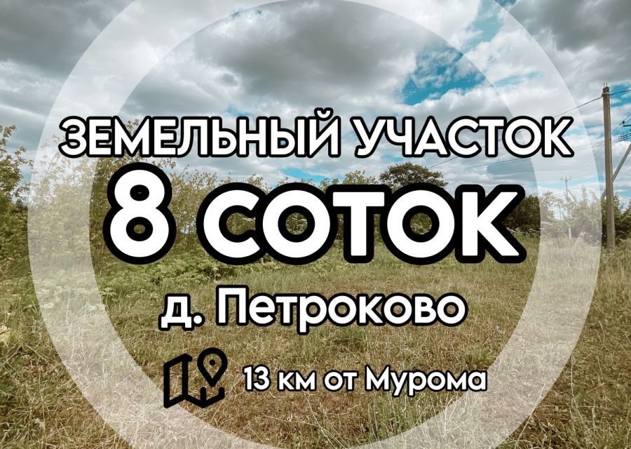 земля р-н Муромский д Петроково ул Полевая 4 округ Муром фото 2