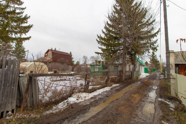 городской округ Тюмень, Садоводческое общество Плодовое фото