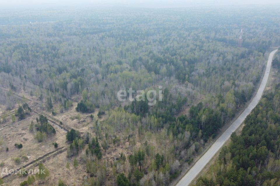 земля р-н Нижнетавдинский село Тюнево фото 1